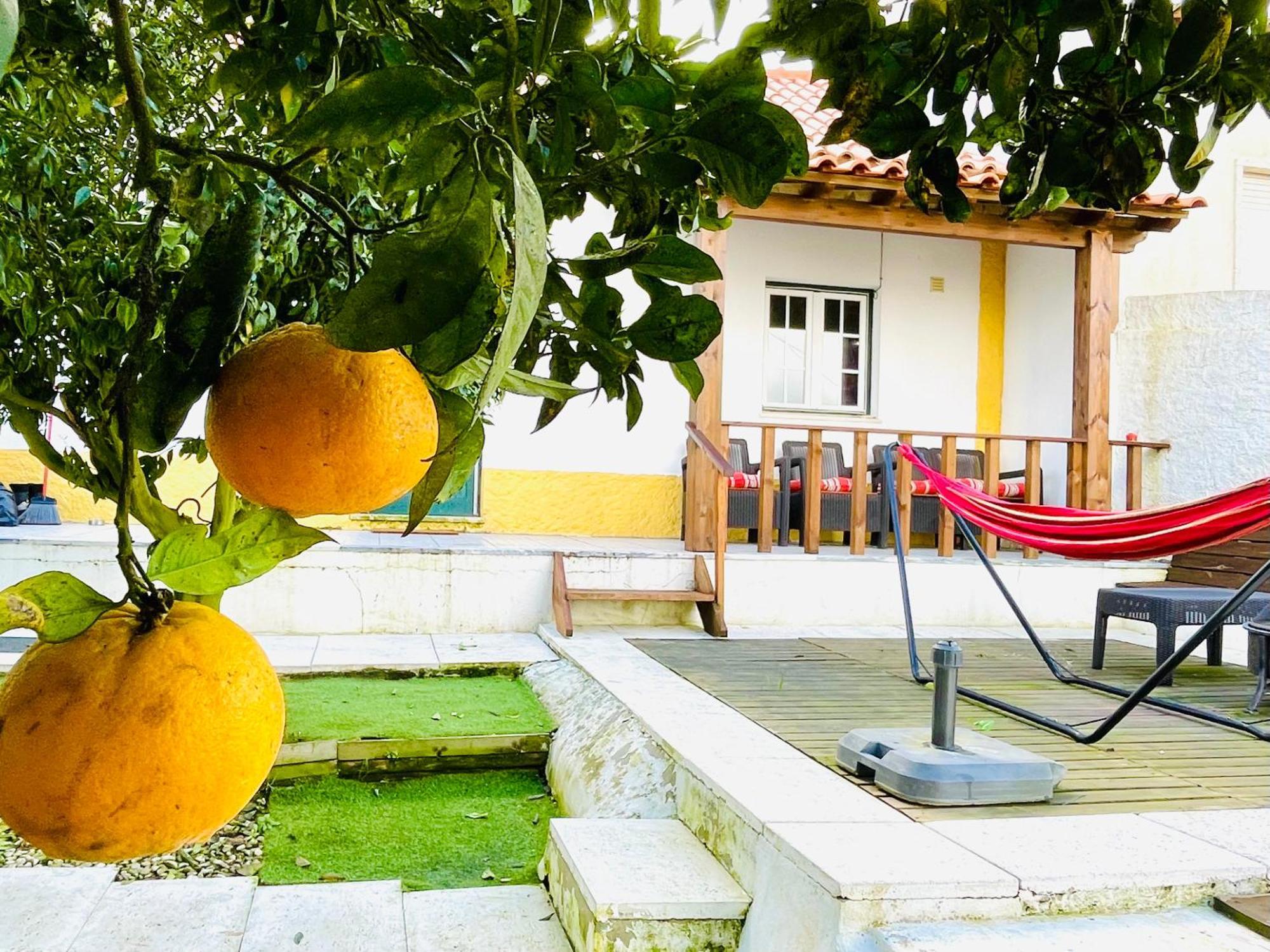 Willa Casa Da Laranjeira Vale Covo  Zewnętrze zdjęcie
